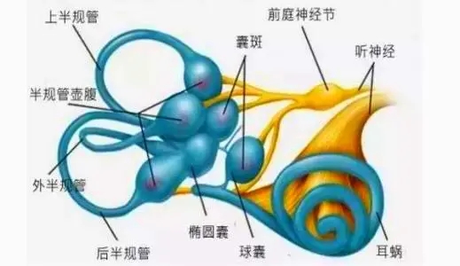 你了解晕车吗？别把晕车简单地看作是一种病